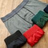 Cueca Boxer Leonardo cores 1