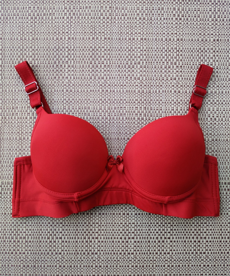 Sutiã Microfibra Sônia 14 Sutia Microfibra Sonia rubi
