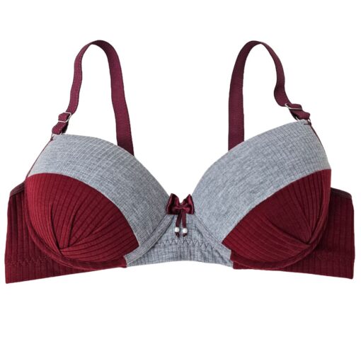 Sutiã Plus Size Vera - Imagem 5